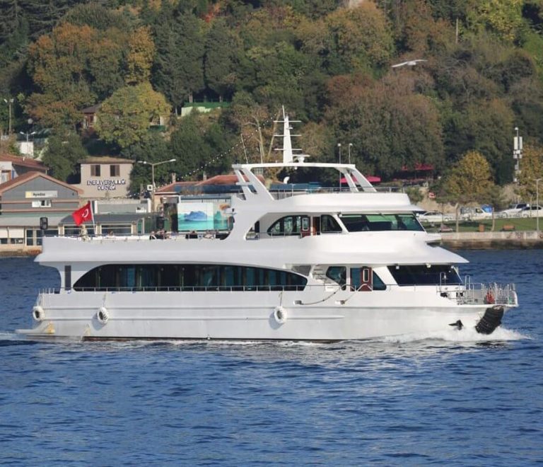 Marriage Proposal on a Boat Accompanied by the Unique View of the Strait